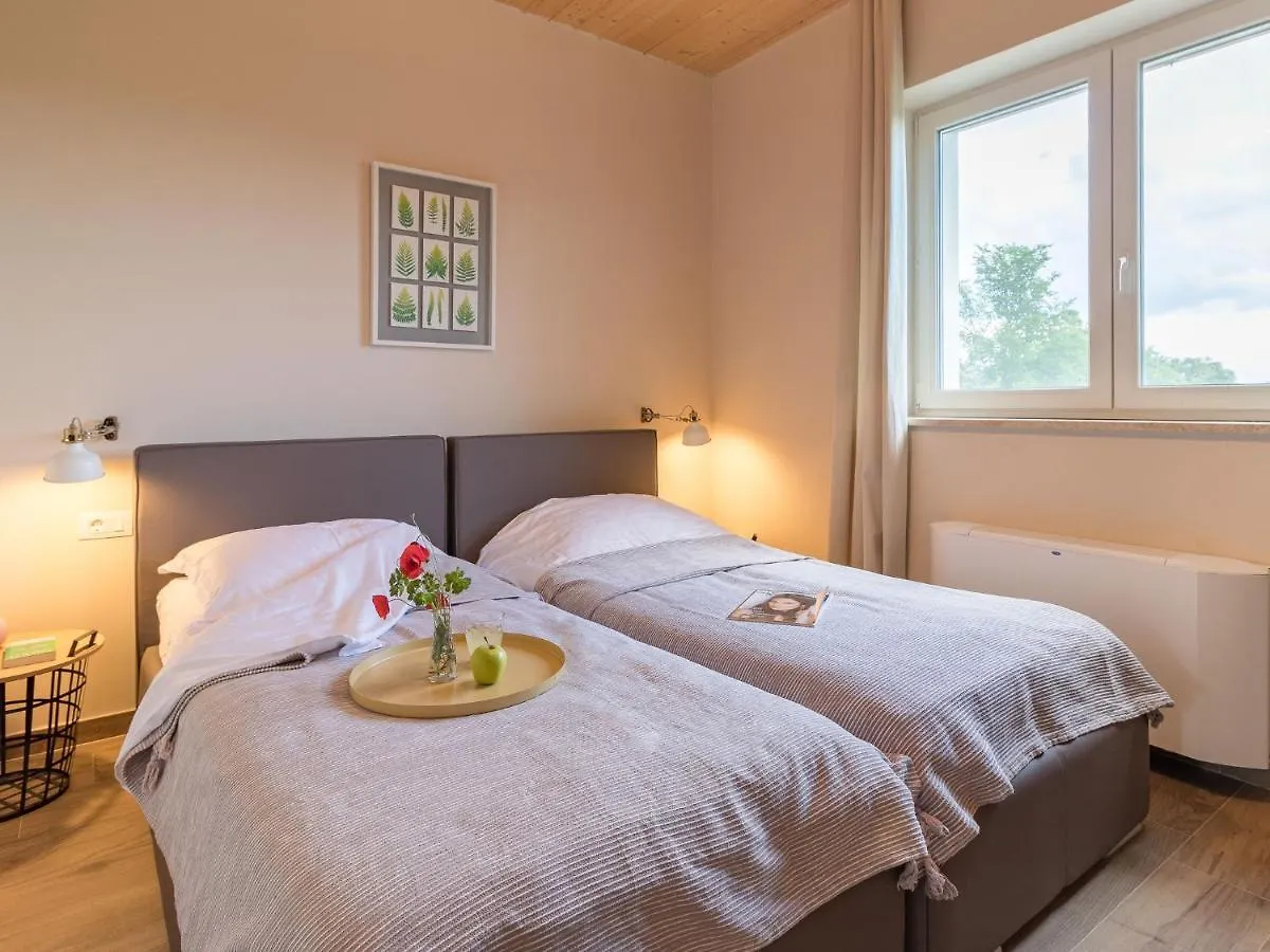 Luxurious Villa With Bubble Bath Svetvinčenat